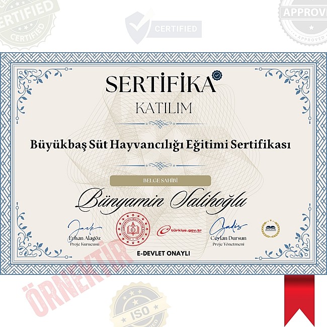 Büyükbaş Süt Hayvancılığı Eğitimi Sertifika / 320 Saat