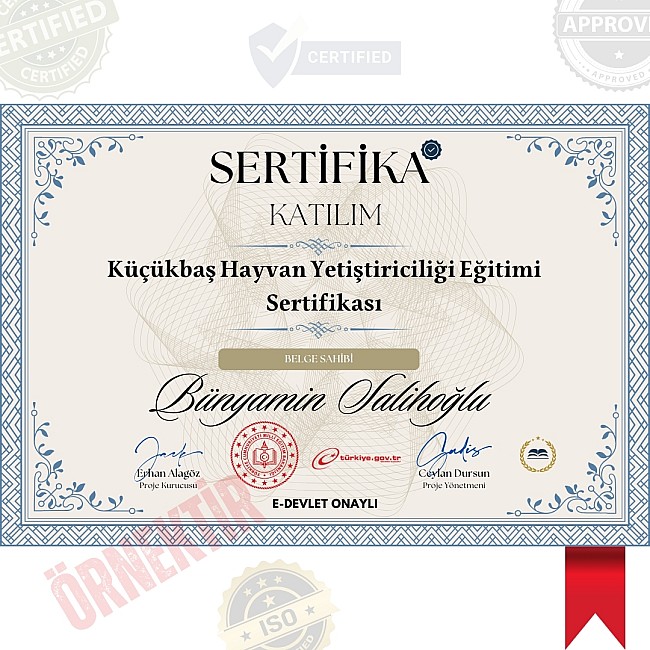 Küçükbaş Hayvan Yetiştiriciliği Eğitimi Sertifika / 400 Saat